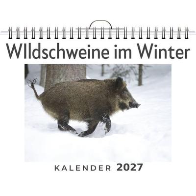 WIldschweine im Winter