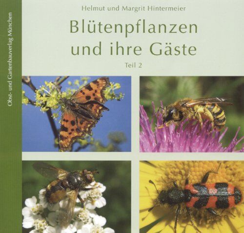 Helmut Hintermeier - Blütenpflanzen und ihre Gäste. Tl.2 - Preis vom 09.10.2026 07:28:09 h