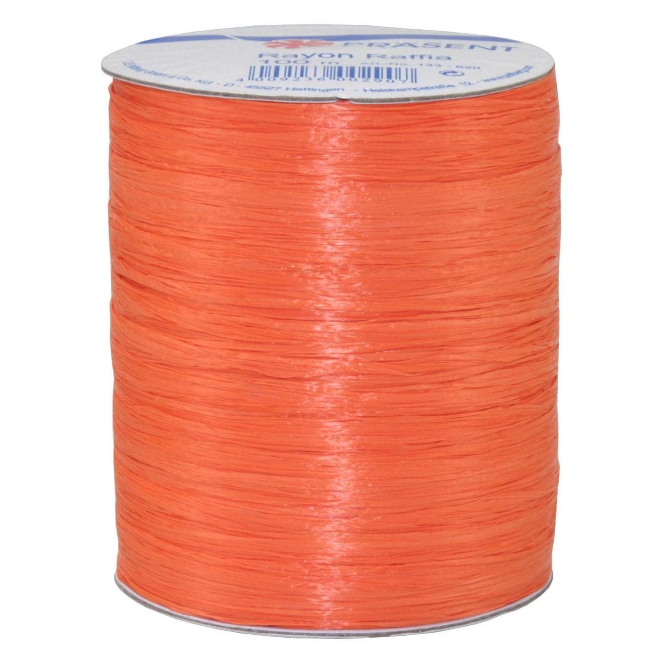 Pattberg Raffia-Bastband Rayon (133 620)