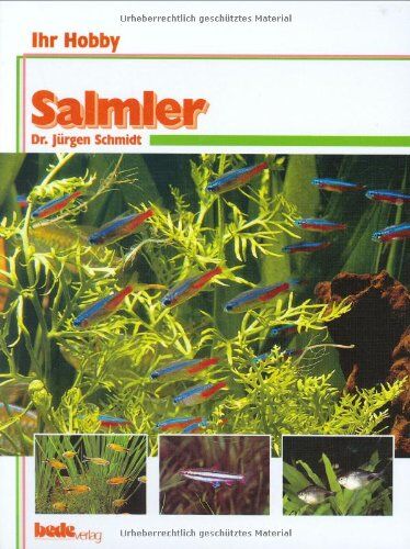 Dr. Jürgen Schmidt - Salmler, Ihr Hobby - Preis vom 09.10.2026 07:28:09 h