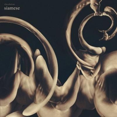 dissolution - Siamese, Vinyl