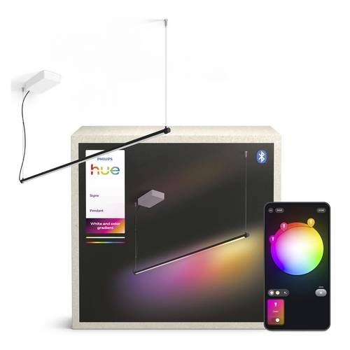 Philips Hue 8721103149527 Pendelleuchte Schwarz