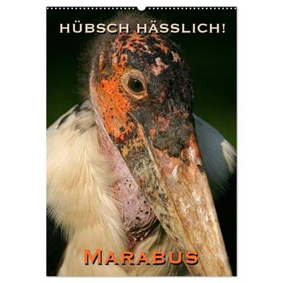 Hübsch hässlich! Marabus (Wandkalender 2027 DIN A2 hoch), CALVENDO Monatskalender