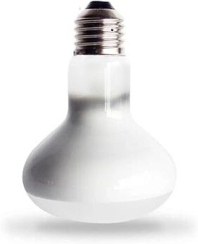 Uplift Picks 220V Reptile Basking Heat Lamp Bulb For Terrarium Warmth 60 W
