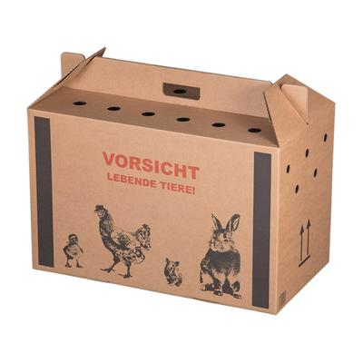 VEPATIM 10x Transportkarton für Kleintiere 580x310x370mm mit Tragegriff Luftlöchern und Automatikboden - Größe L