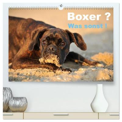 Boxer ? Was sonst ! (hochwertiger Premium Wandkalender 2027 DIN A2 quer), Kunstdruck in Hochglanz
