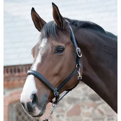Horse Guard Lederhalfter - schwarz - Kaltblut