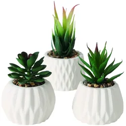 Kunstpflanze SENZO (BHT 7x15x7 cm) - BHT 7x15x7 cm