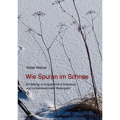 Wie Spuren im Schnee, Taschenbuch von Walter Widmer, Epubli, 978-3-8197-5160-8