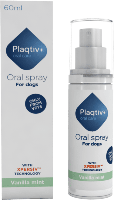 Ecuphar Plaqtiv+ Spray Oral 60 ml