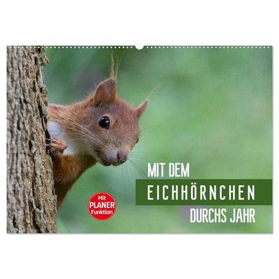 Mit dem Eichhörnchen durchs Jahr (Wandkalender 2027 DIN A2 quer), CALVENDO Monatskalender