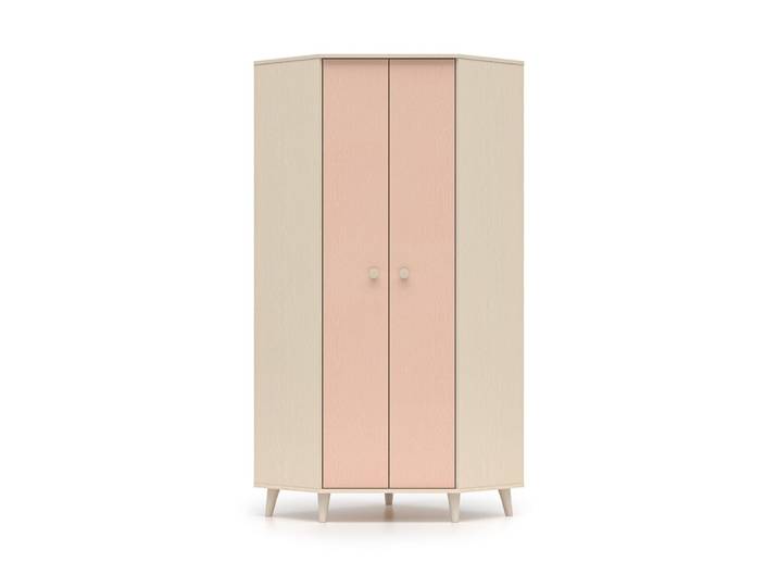 Armoire d'angle 2 portes bois multicolore