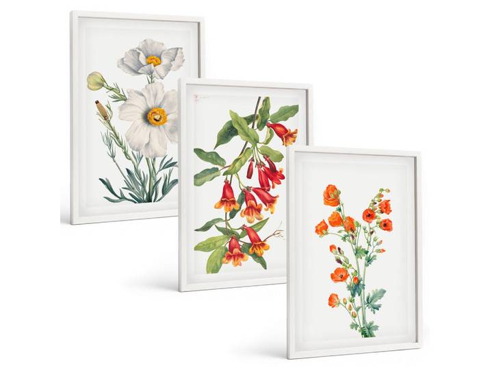 Tulup Bilder SET 3er Set - 40x60 cm Weißer Rahmen - Retro-Blumenarrangements, Kunststoff, Rechteckig, 40x60 cm, gerahmt, Bilder & Rahmen, Bilder