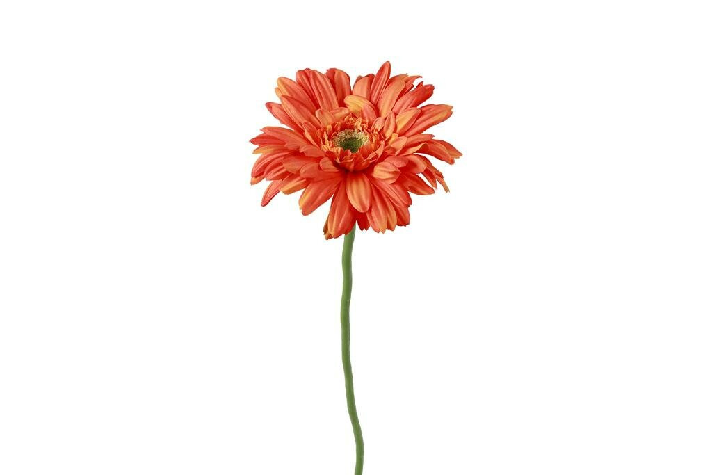 Countryfield zijden Gerbera Leanne bloem oranje 60 cm
