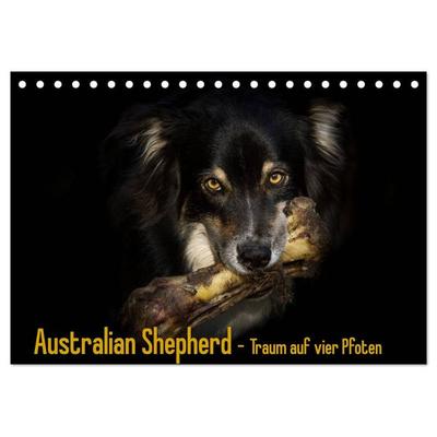 Australian Shepherd - Traum auf vier Pfoten (Tischkalender 2026 DIN A5 quer), CALVENDO Monatskalender
