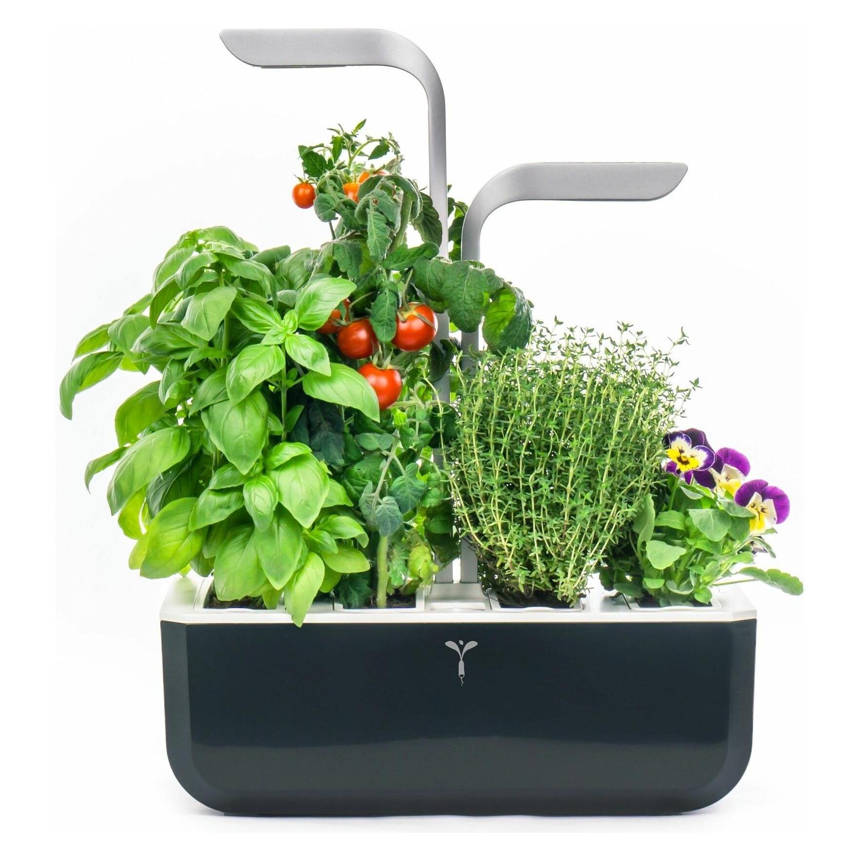 Véritable VERITABLE SMART Indoor Garten schwarz inkl 4 Packs (35 x 18.50 x 45 cm) (VPOT-SSBAS-A-4)