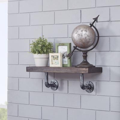 Danya B. 24 x 7 Pipe Industrial Rustic Wall Mount Shelf