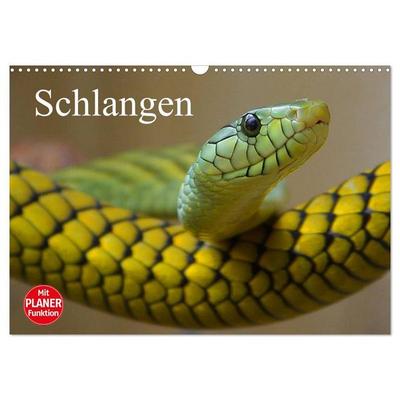 Schlangen (Wandkalender 2027 DIN A3 quer), CALVENDO Monatskalender