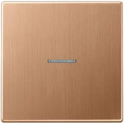 Jung BTBRG17101 JUNG HOME Taster 1fach, mit Lichtleiter, Metall, PVD-beschichtet, Serie LS, Bronze gebürstet BT BRG 17101