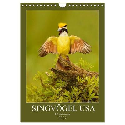 Singvögel USA (Wandkalender 2027 DIN A4 hoch), CALVENDO Monatskalender