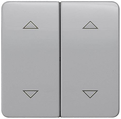 Siemens Schalterprogramm Wippe Delta Silber 5TG7987 1St.