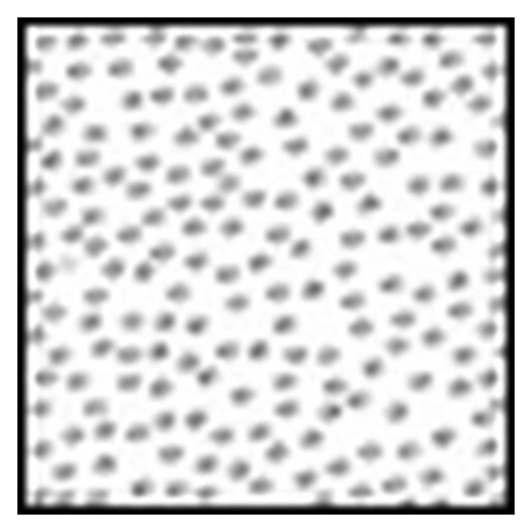 Cokin Filter P830 Weichzeichner 1 (82 mm, Neutral Color Filter, 84 mm) (WP1R830)
