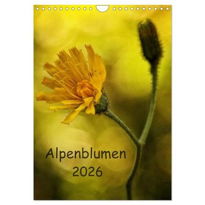 Alpenblumen 2026 (Wandkalender 2026 DIN A4 hoch), CALVENDO Monatskalender