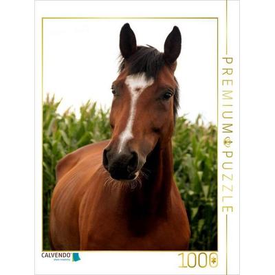 CALVENDO Puzzle Ein Motiv aus dem Kalender Pferde ... fliegen ohne Flügel | 1000 Teile Lege-Größe 64x48cm Foto-Puzzle für glückliche Stunden