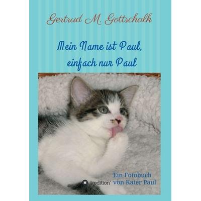 Mein Name ist Paul, einfach nur Paul, Taschenbuch von Gertrud M. Gottschalk, Tredition, 978-3-7345-8107-6