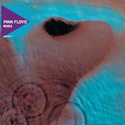 Pink Floyd - Meddle (remastered) - Preis vom 06.10.2026 07:26:00 h