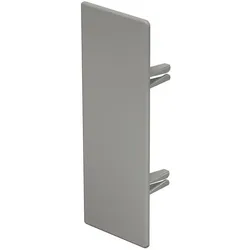 OBO Bettermann Vertr Endstück WDK HE60170GR