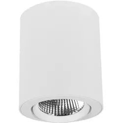 LTS 650985 Button 300 Anbau-Downlight 14W 830 1400LM DALI 25° weiß BTN-A 301.30.25/DALI weiß BTNA3013025DALI