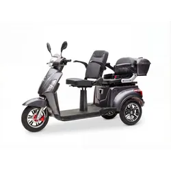 Econelo E-Seniorenmobil Billy 2.0, Lithium-Akku, 3-Rad, 1000 Watt, Grau