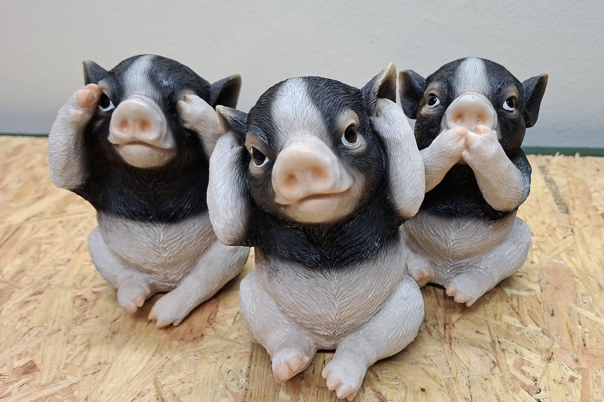 Set van 3 Biggetjes beeldjes Horen, Zien en Zwijgen van Polystone, Hoogte: 11 cm