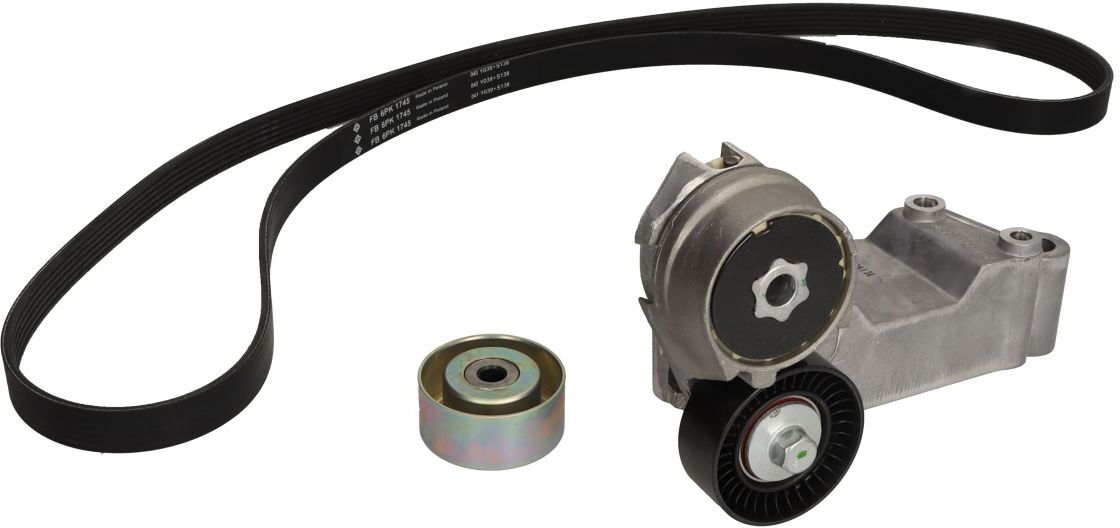 Schaeffler Ina Set di cinghie trapezoidali INA 529 0489 10