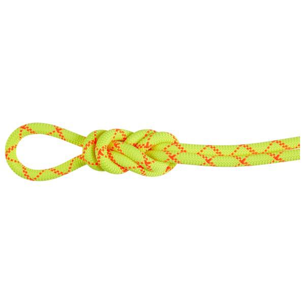 Mammut - 9.5 Alpine Core Protect Dry Rope - Einfachseil Länge 40 m gelb