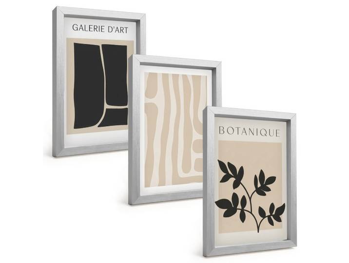 BILDER SET 3er Set - 20x30 cm Silberner Rahmen - Abstrakte Pflanzenformen