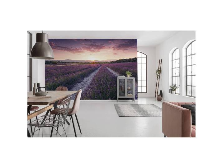 Vlies Fototapete Lavender Dream 450 x 280cm