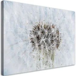 WANDBILD weiße pusteblume pflanzen