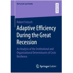 Adaptive Efficiency During the Great Recession, Fachbücher von Robert Fritzsch