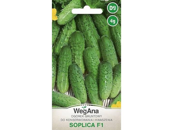 WegAna Gemalen Komkommer Soplica F1 4g, Robuuste Groentezaden Kweekzaden Balkon & Tuin