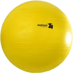 Joydivision Maximus Power Play Ball 75 cm (Ballspielzeug Hund), Hundespielzeug
