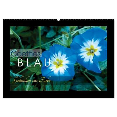 Goethes Blau. Gedanken zur Farbe (Wandkalender 2026 DIN A2 quer), CALVENDO Monatskalender