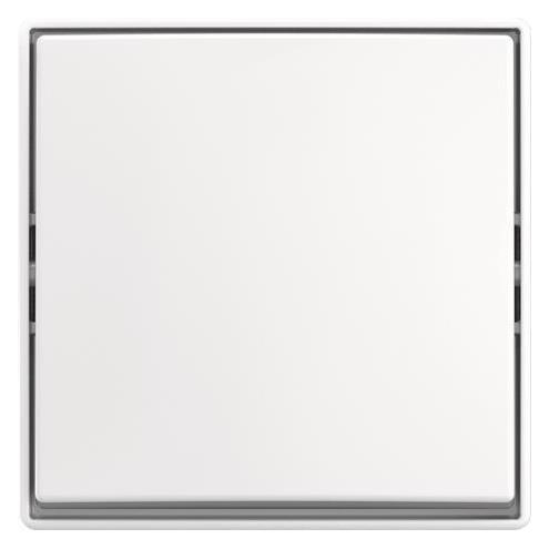 Busch-Jaeger Wippschalter AP (2TKA00005521)