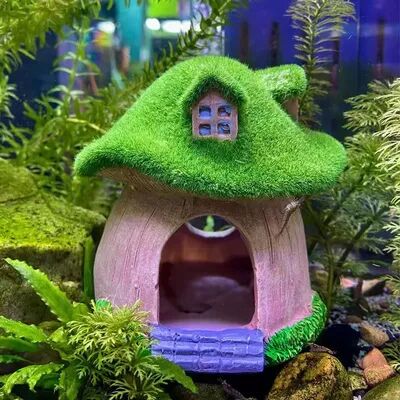 Combo Retail Shop Mushroom And Moss House Ornament For Fish, Shrimp Shelter, Aquarium Decoration, Desk Decor Landscape For Fish Tank, Home Mushroom And Moss House Ornament For Fish, Shrimp Shelter, Aquarium Decoration, Desk Decor Landscape For Fish Tank, 