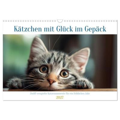 Kätzchen mit Glück im Gepäck (Wandkalender 2027 DIN A3 quer), CALVENDO Monatskalender