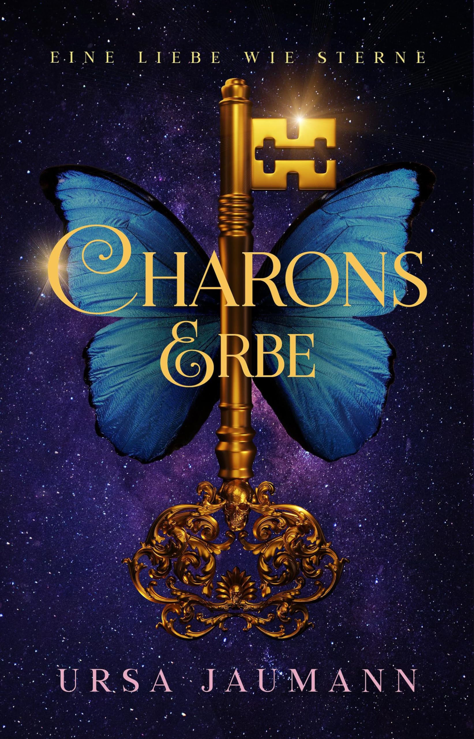 Charons Erbe - Eine Liebe wie Sterne: Spannende Urban Romantasy - mit Haters-to-Lovers und einem dunklen Familiengeheimnis - Preis vom 01.10.2026 17:08:56 h