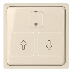 Elso 367254 Zentralplatte für elektronischen Rollladenschalter JOY reinweiß