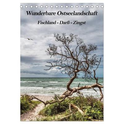 Wunderbare Ostseelandschaft Fischland-Darß-Zingst (Tischkalender 2027 DIN A5 hoch), CALVENDO Monatskalender