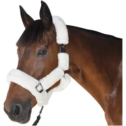 Canter, Halfter